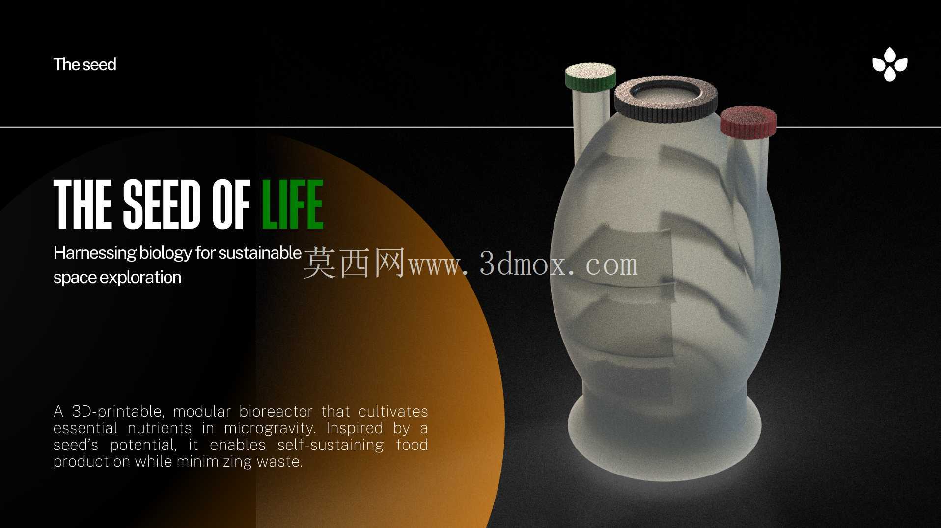 种子