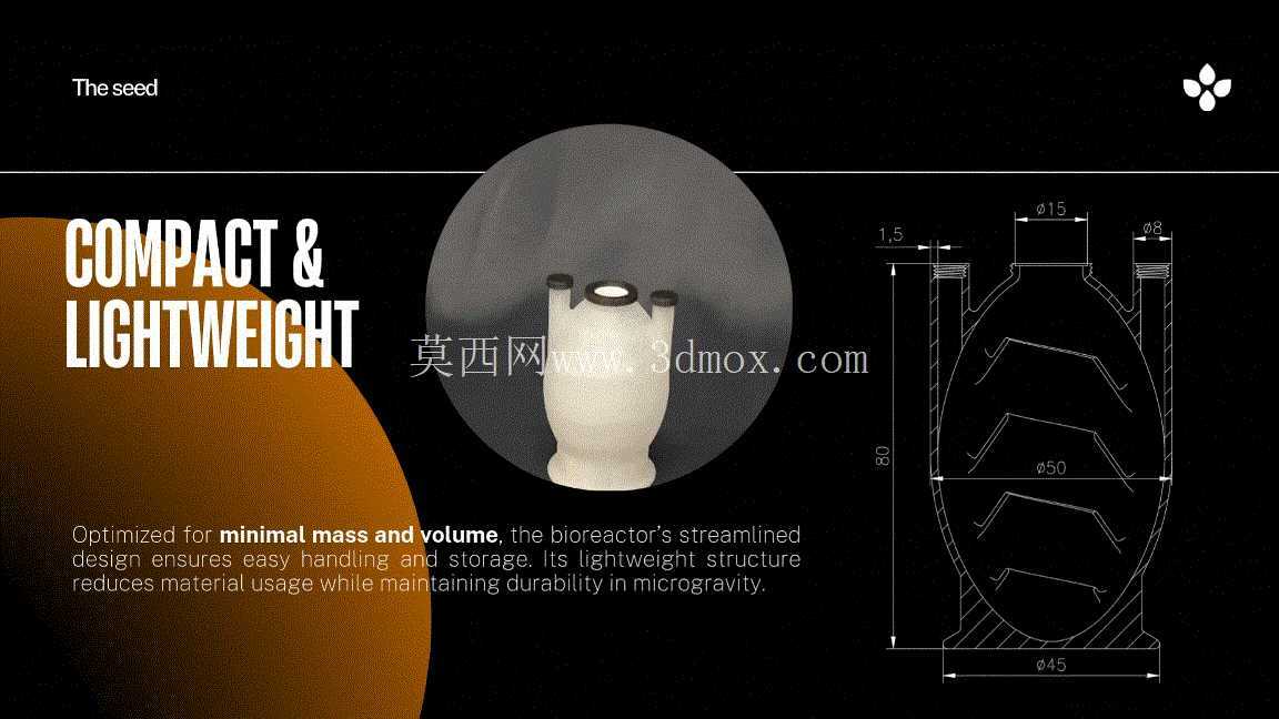 种子