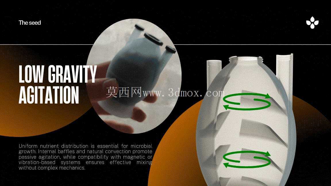 种子