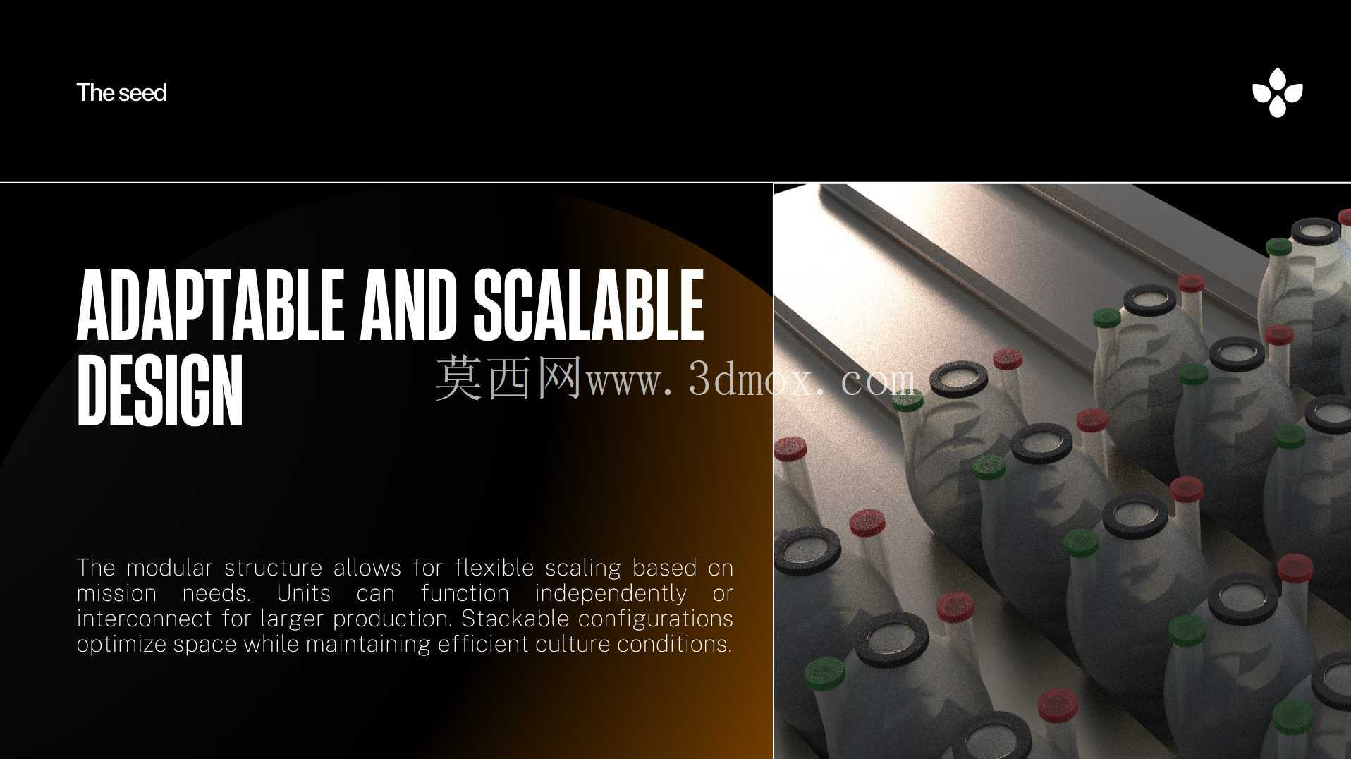 种子