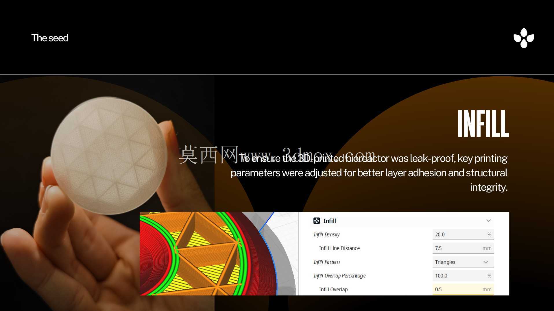 种子