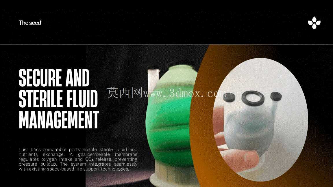 种子