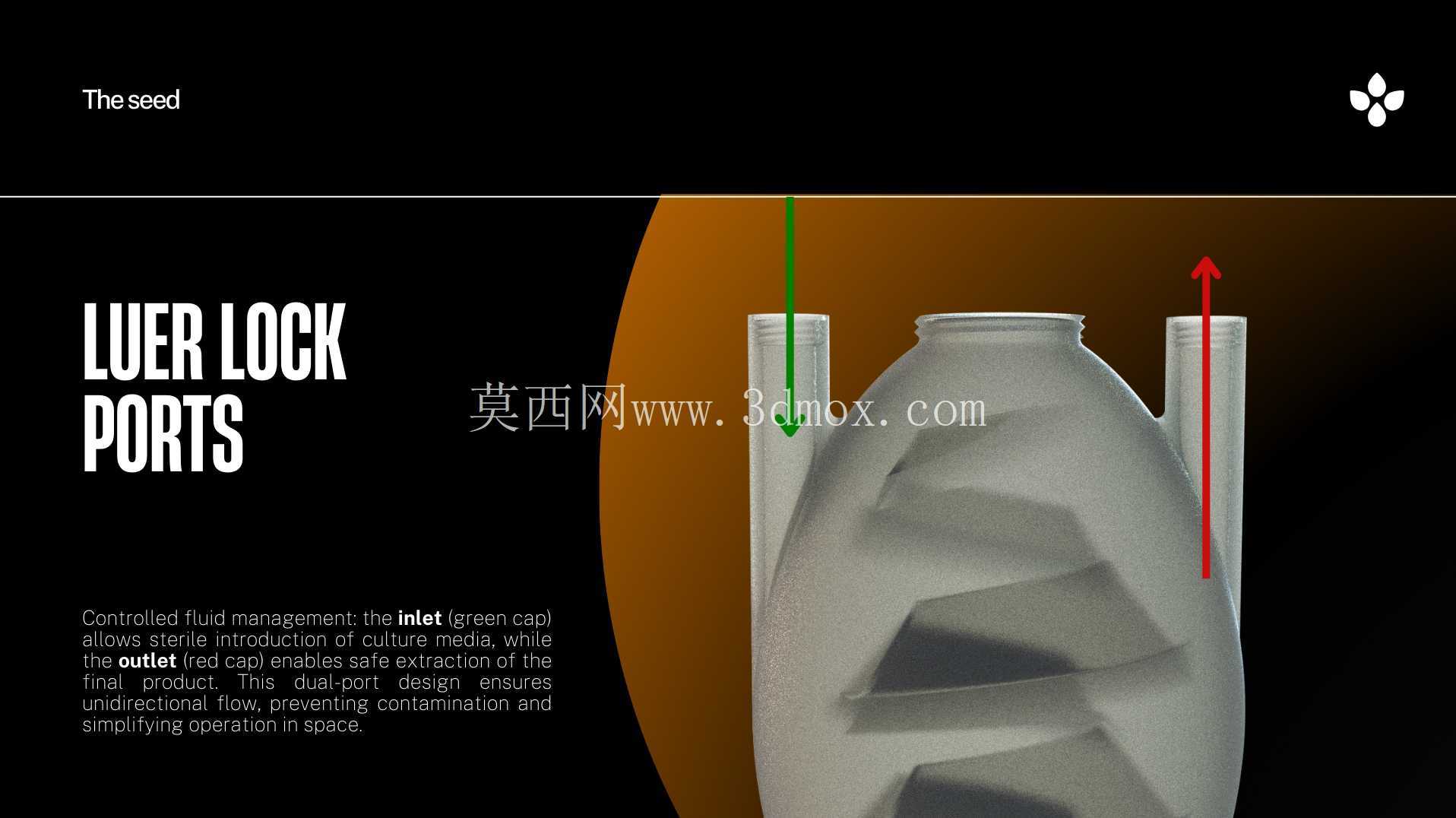 种子