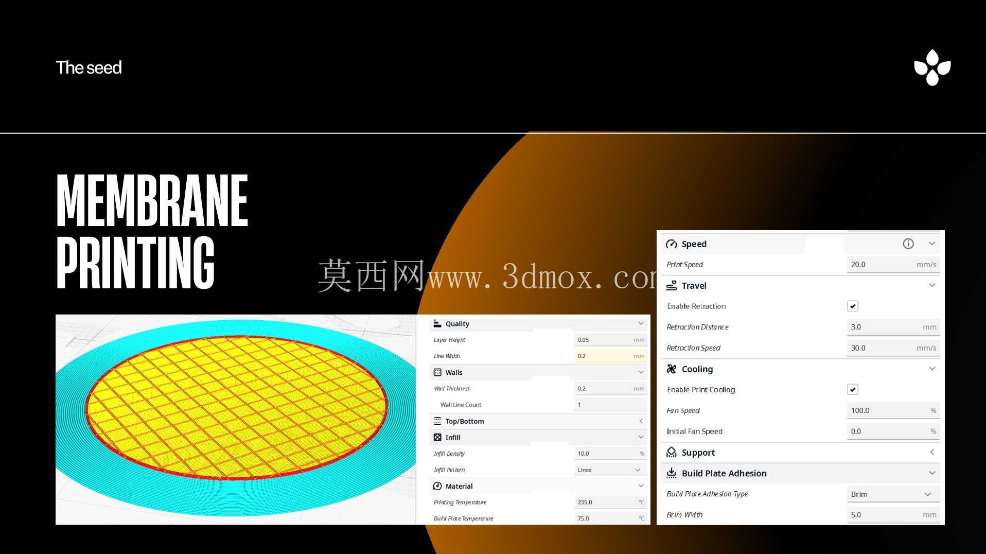 种子