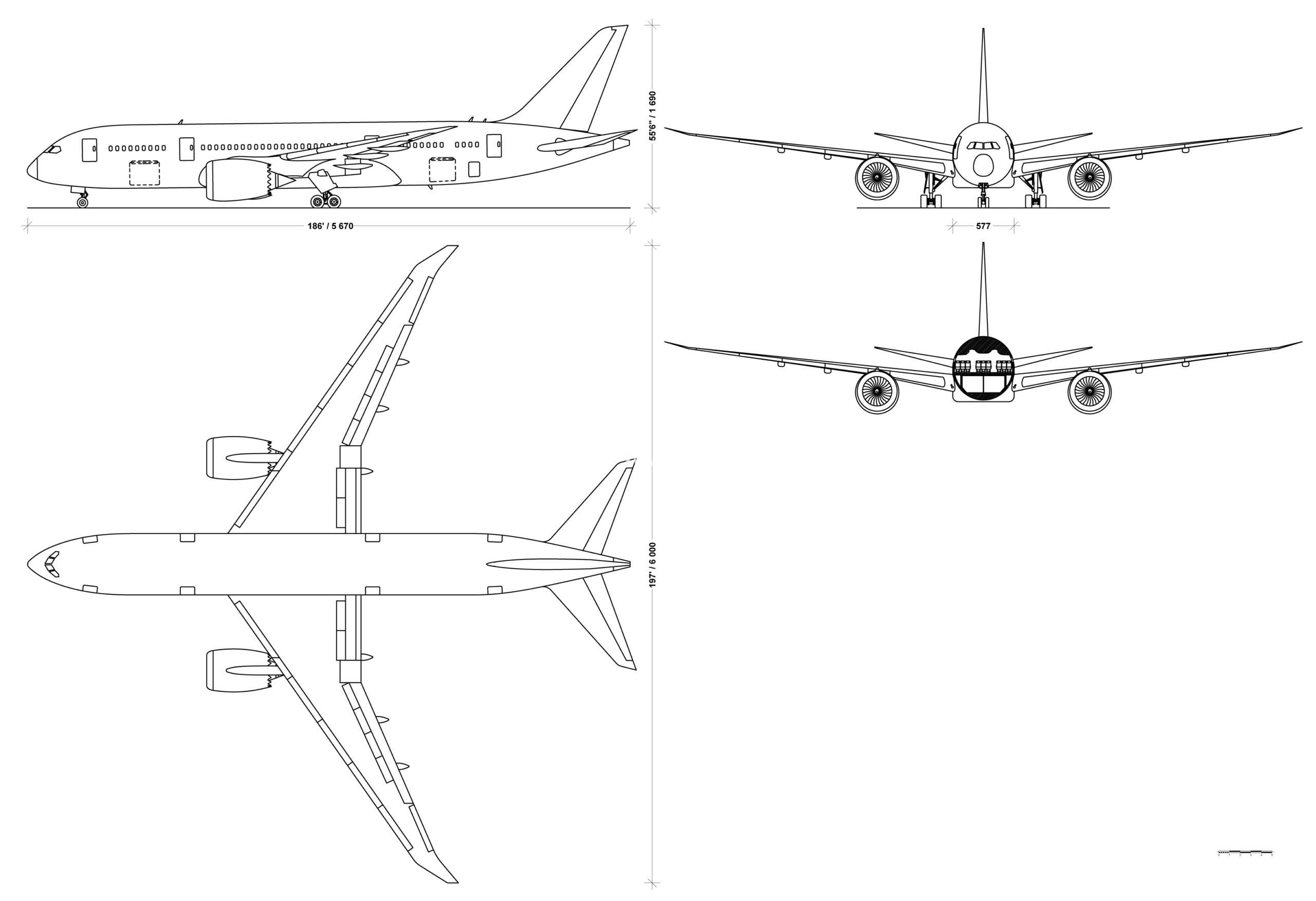 ���� 787