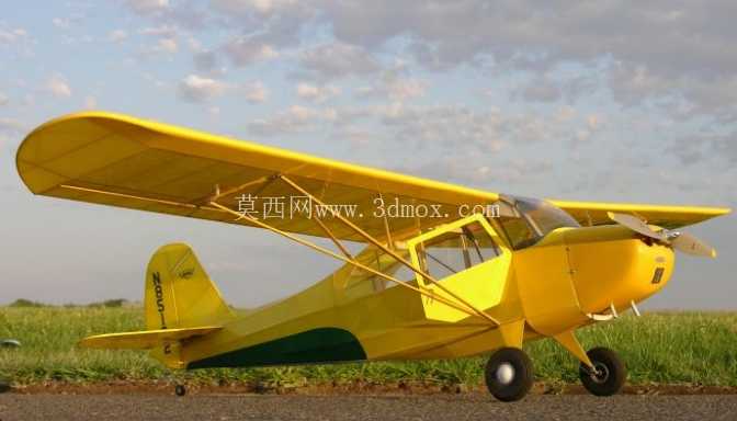 AERONKA CHAMP ģ�ͷɻ�