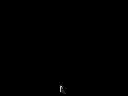��ֱ�ĵ�·