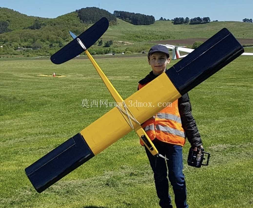 轻木 2m 机动滑翔机