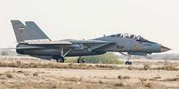 F-14 ��è