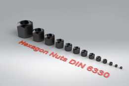 ������ĸ DIN 6330