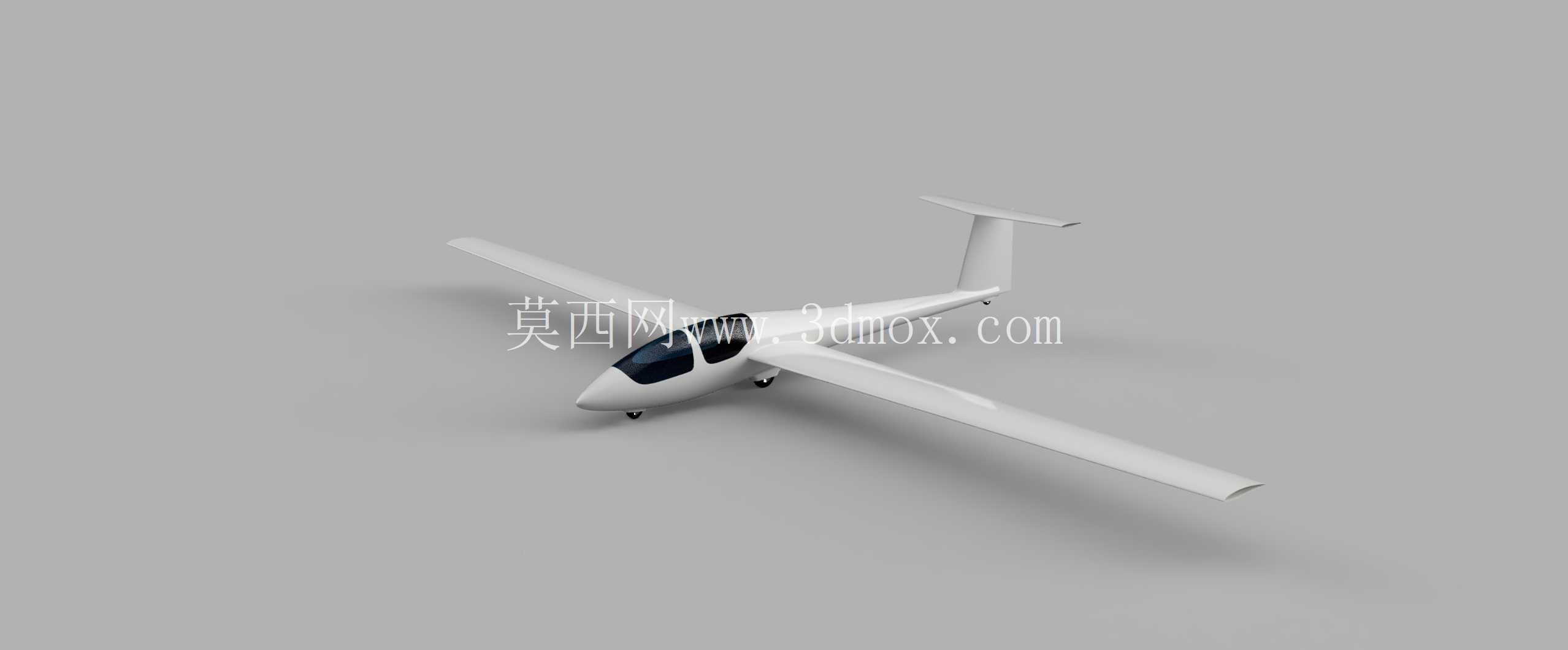 Schleicher ASK 21 ����������� 1:5.7 �C 3m ��չ��- WIP