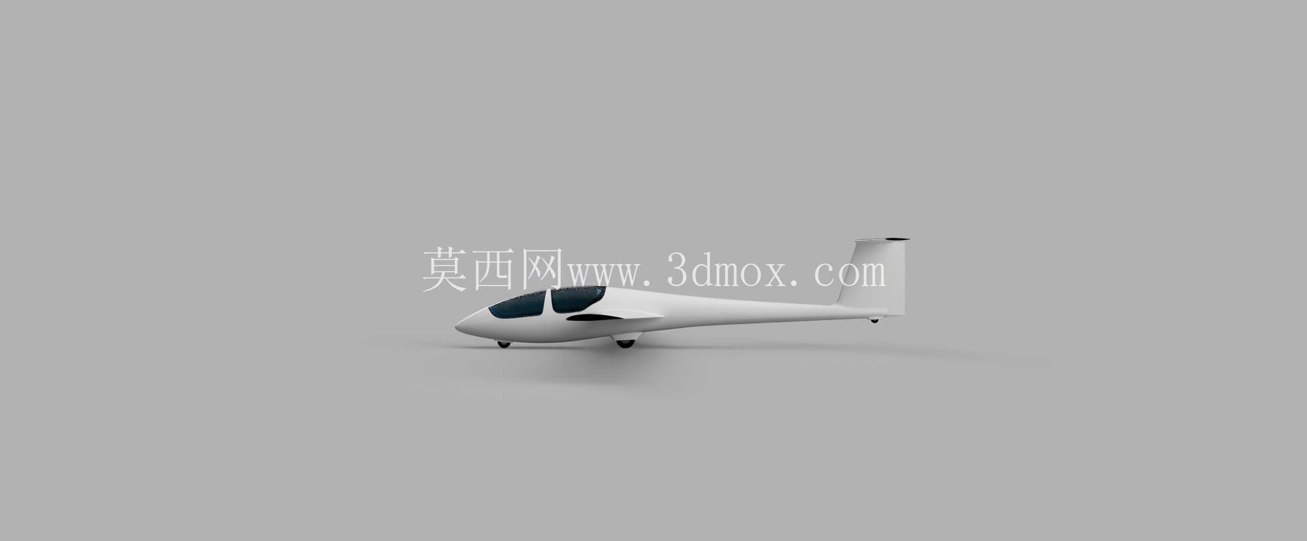 Schleicher ASK 21 ����������� 1:5.7 �C 3m ��չ��- WIP
