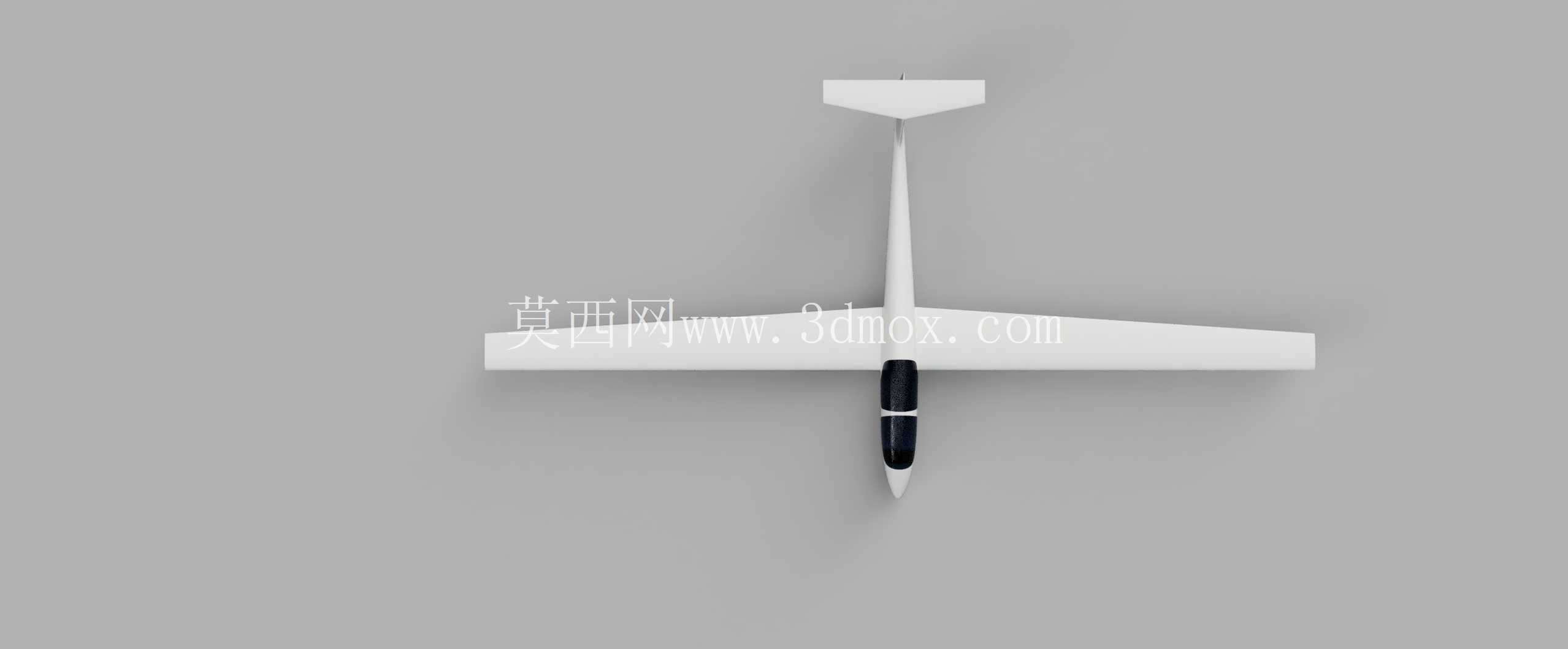 Schleicher ASK 21 ����������� 1:5.7 �C 3m ��չ��- WIP