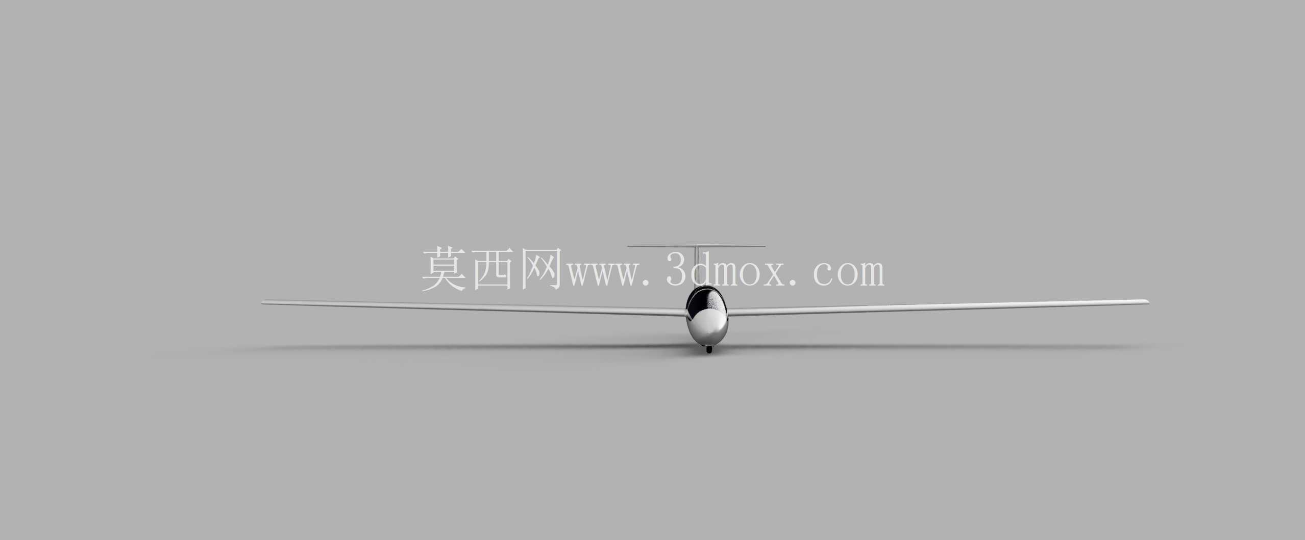 Schleicher ASK 21 ����������� 1:5.7 �C 3m ��չ��- WIP