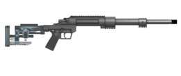 SSSR-1(12.5mm单发狙击步枪)