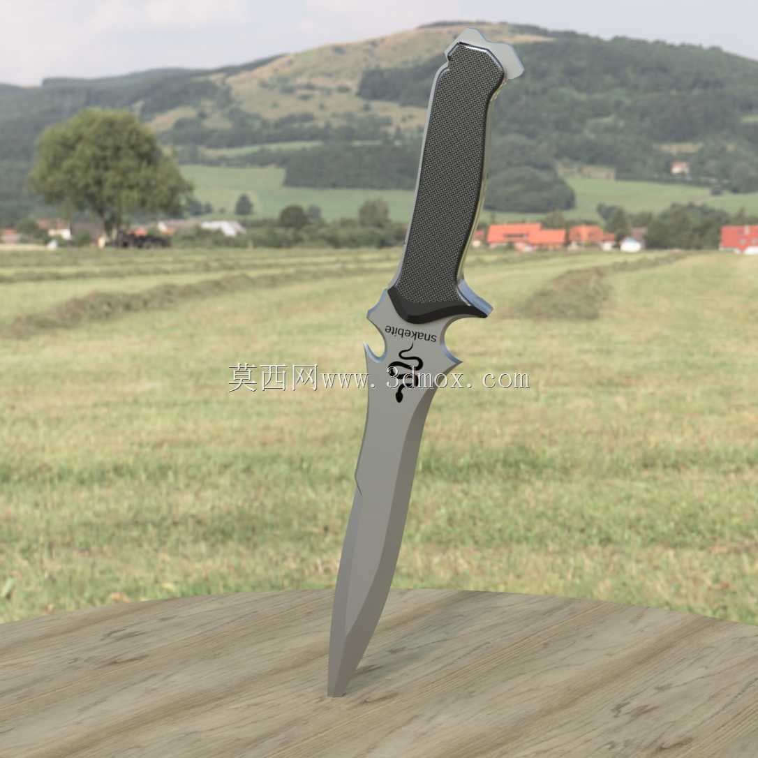 ��֧�ܵ�Krauser����RE4