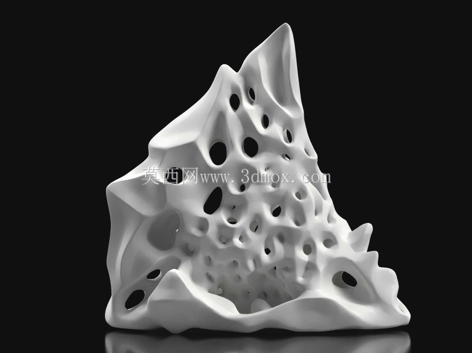 Coral 3Dģ��