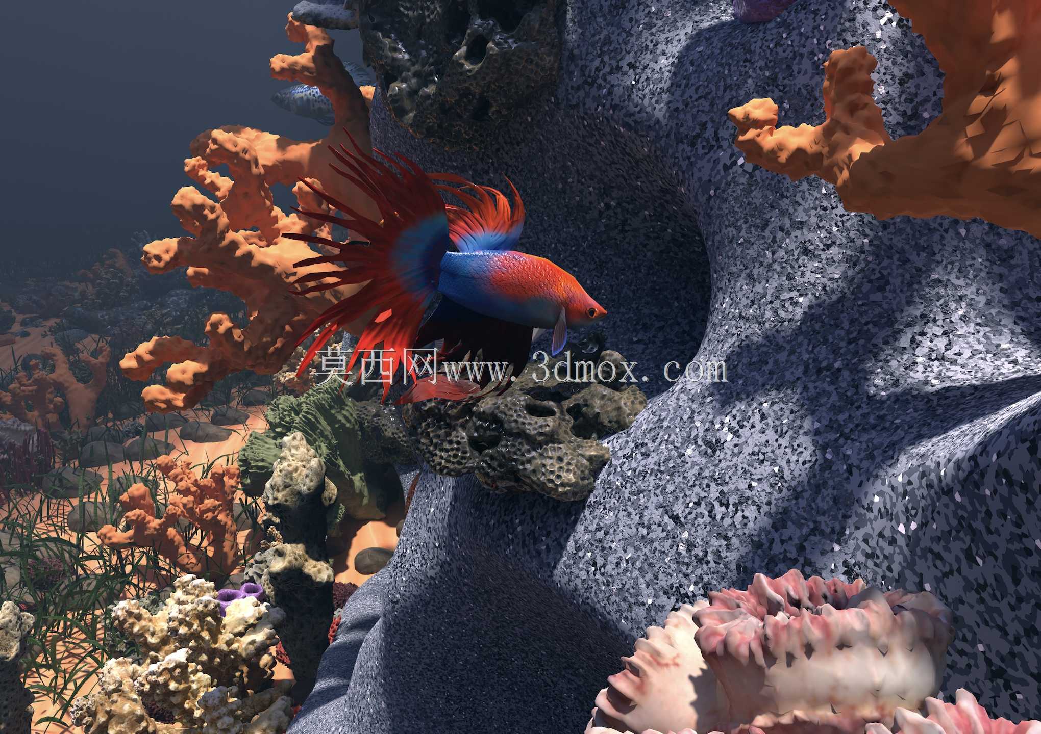 Coral 3Dģ��