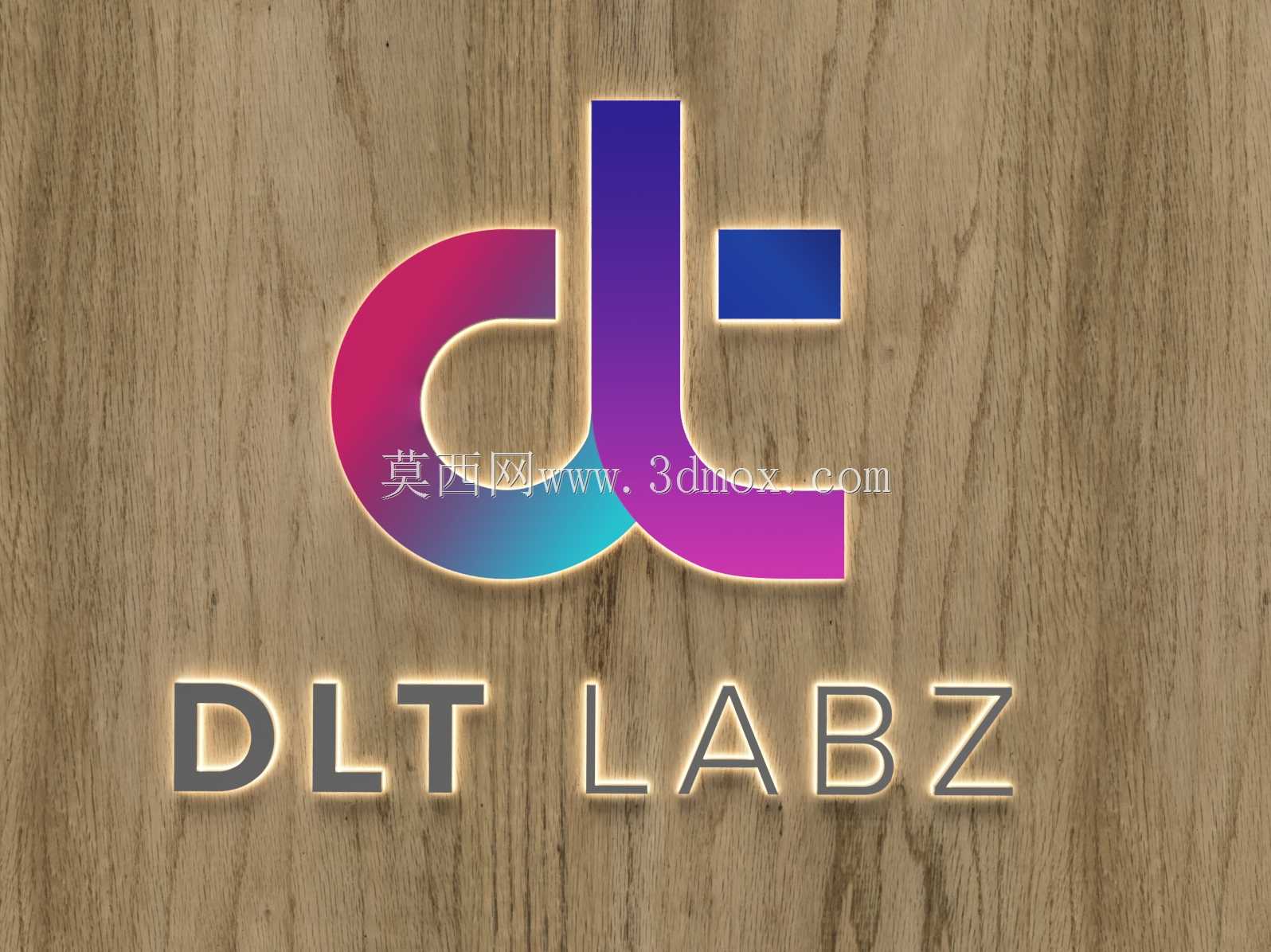 3D��־