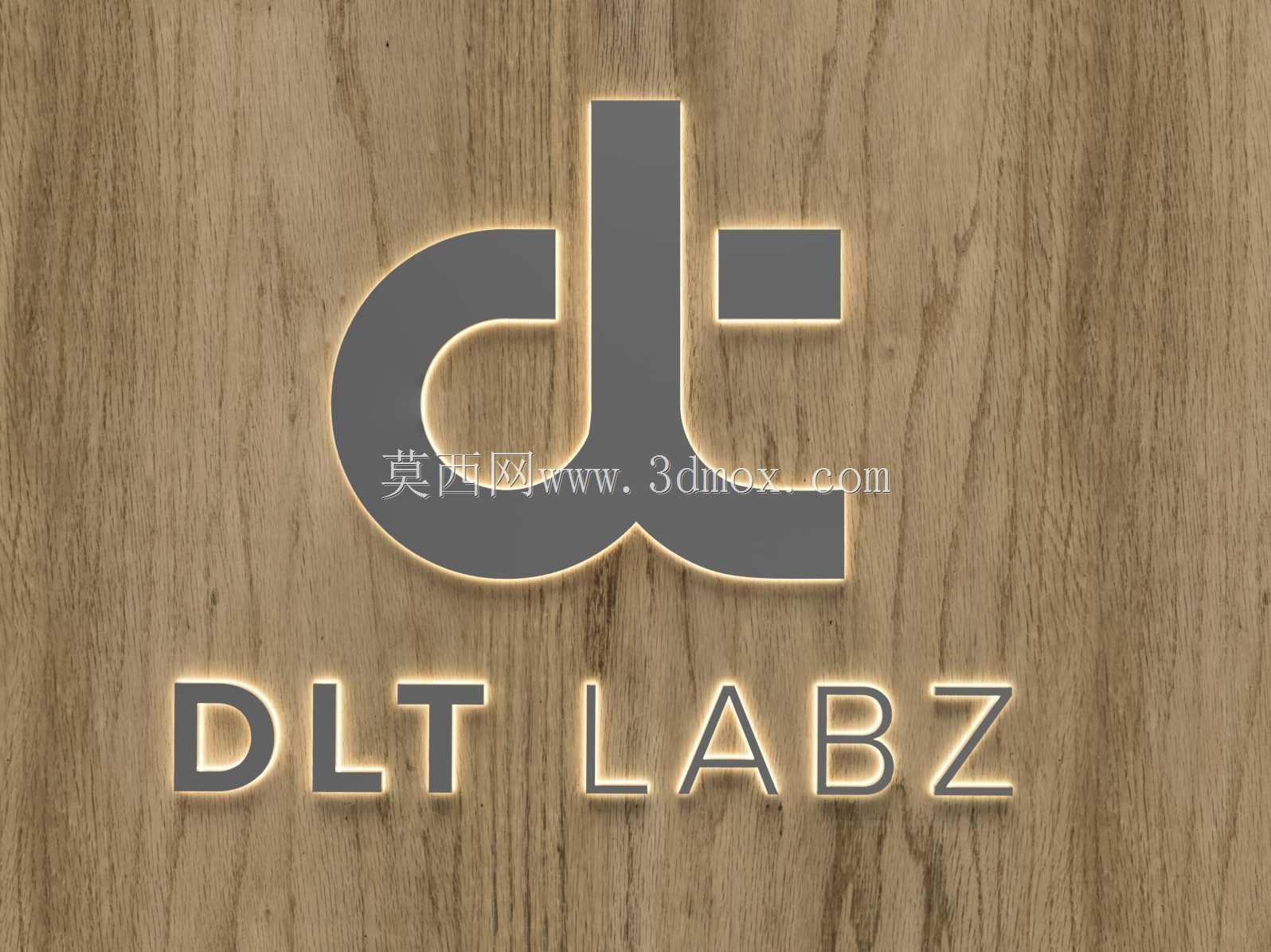 3D��־