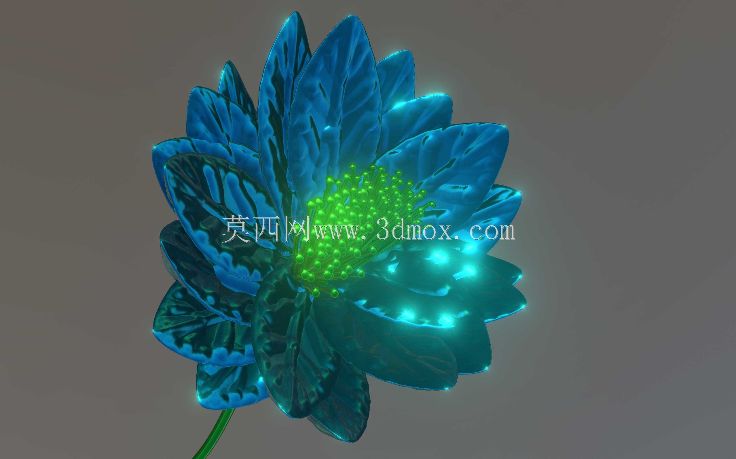 莽我莽ek