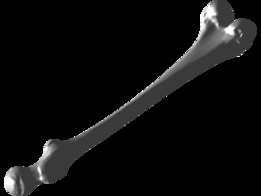 �ɹǣ��ǣ�