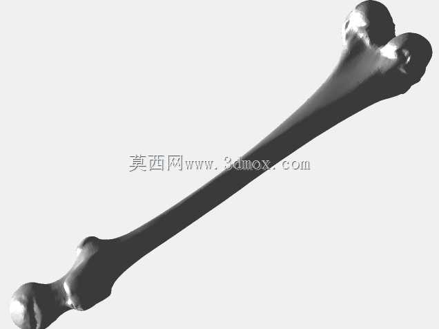 股骨(骨)