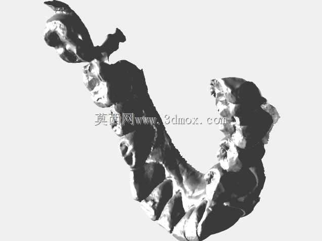 Zirkonzahn全拱冠上颚
