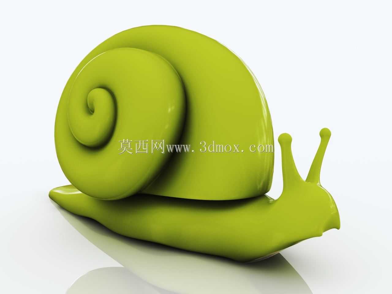 �ŵ�-��ţ
