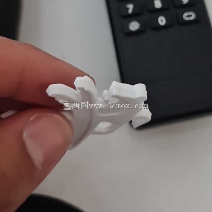 ����Կ����