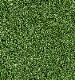 ̹��