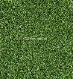 ̹��