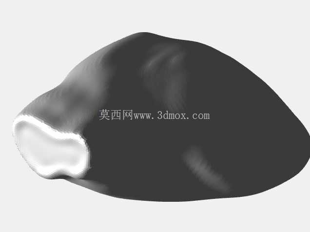 分段的心