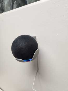 Alexa Dot����֧��