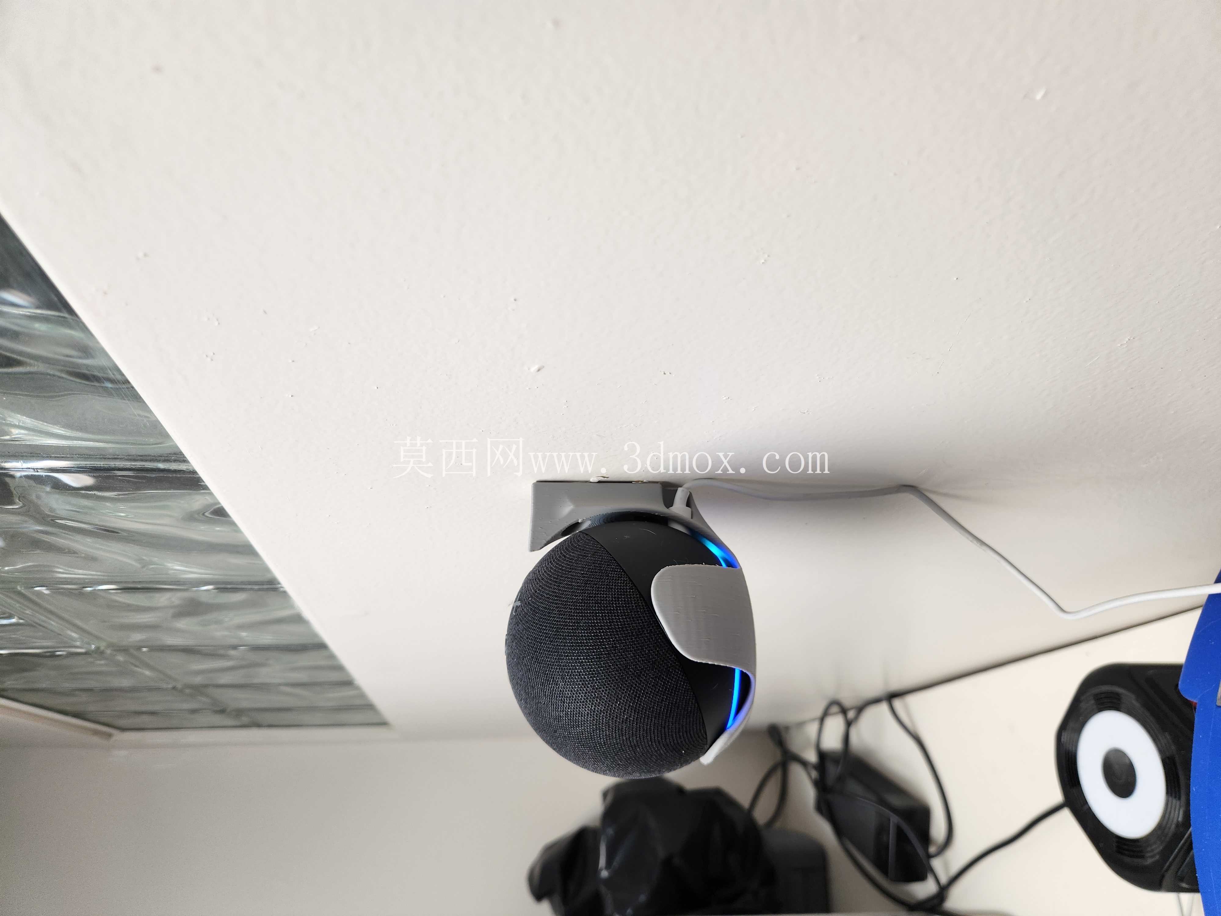Alexa Dot����֧��