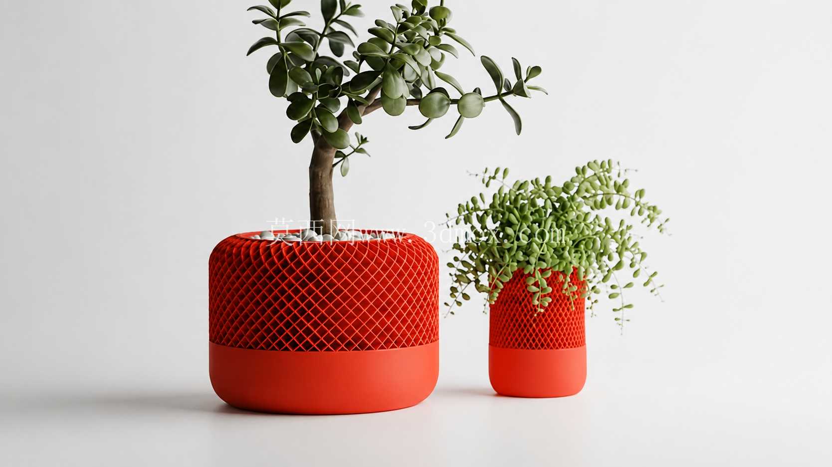 �� HomePod ��������ʯ���ӻ���