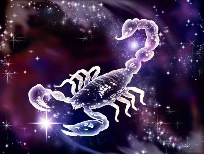 蝎子机器人
