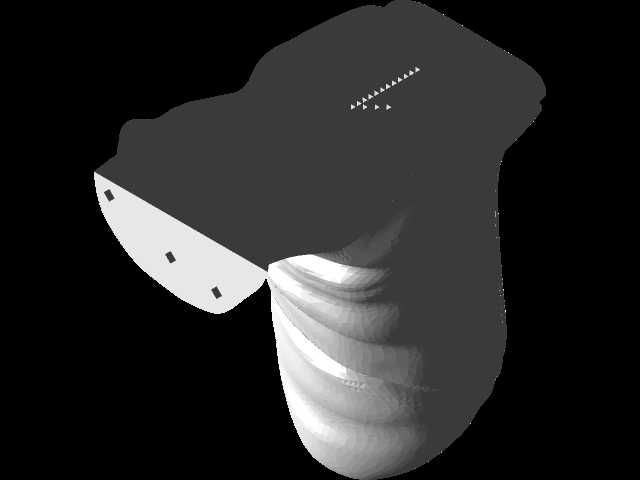 reggid��Ĺ