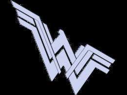 Wonder Women��־