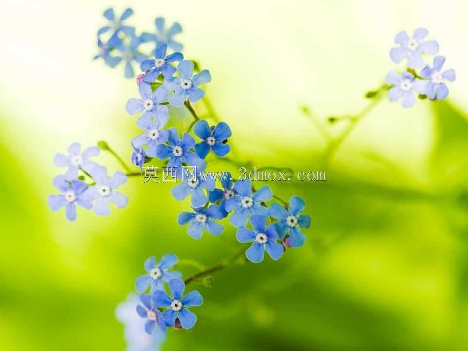 �ƾ�