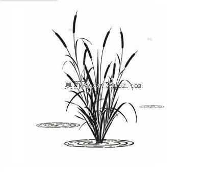 �ƾ�