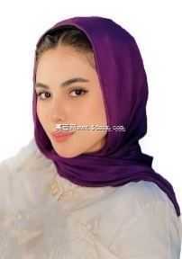 毕业设计团队:Abdelrahman Ramadan Diab工程师Ahmed Hosny工程师Nourhan Elgammal工程师Medhat Masoud Nagy工程师Kareem Mohame