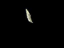 A320����