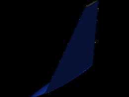 Winglet LH
