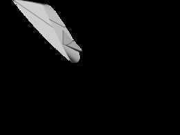 Scarmjet