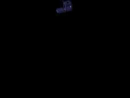 ��Ŀ