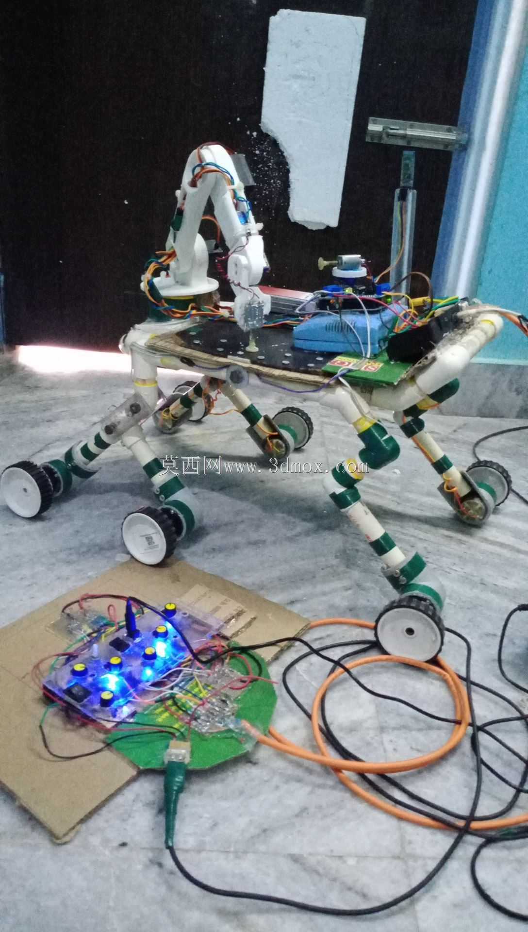 ��˿��