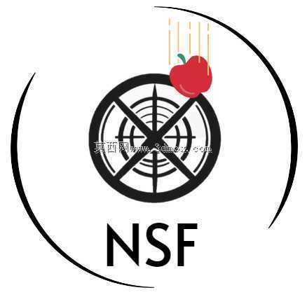NSF-节点自旋框架