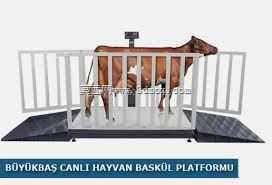 Sattle��������-B��y��kba?Hayvan Tart?s?Animasyon