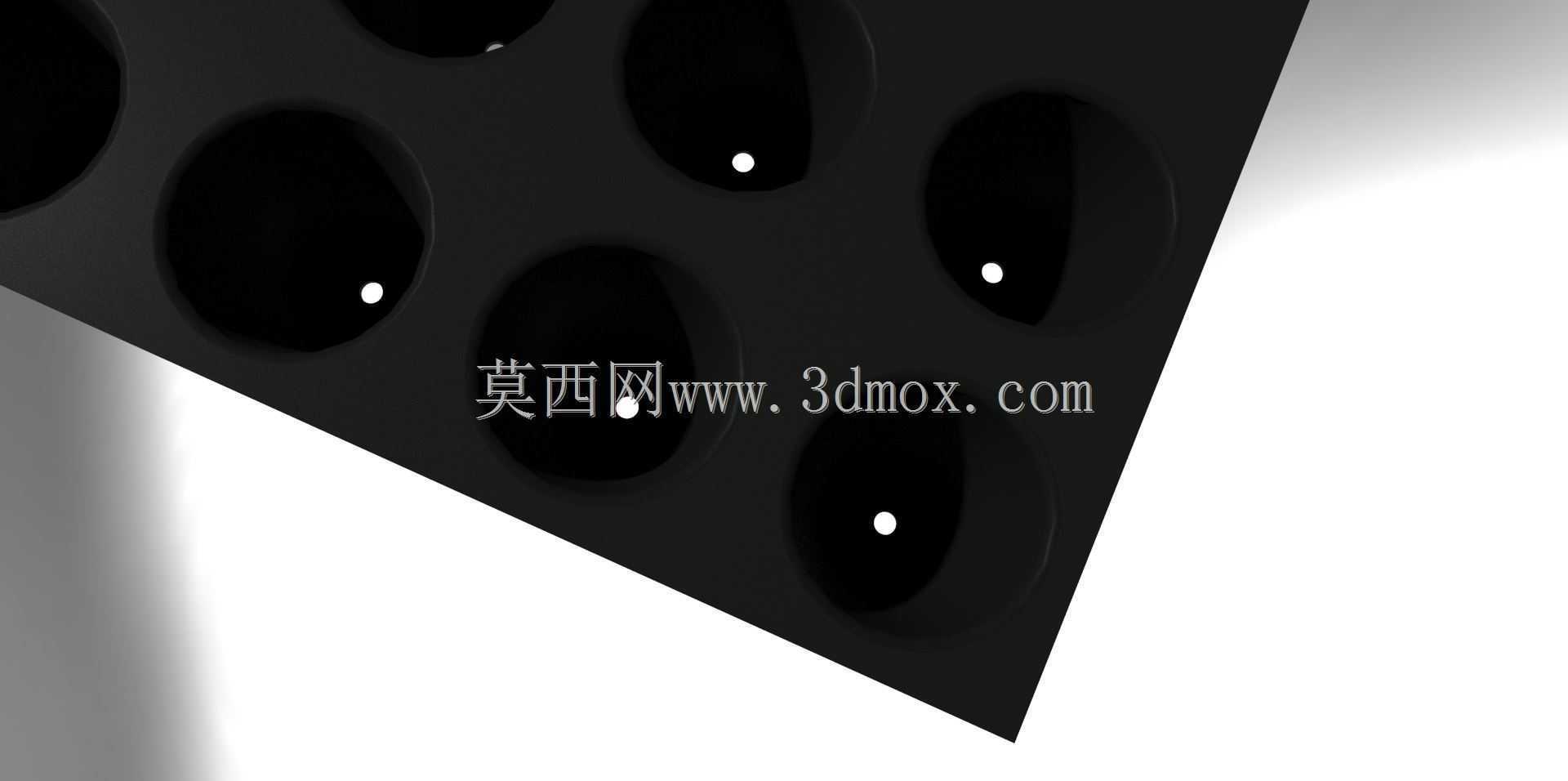 种子发芽试验